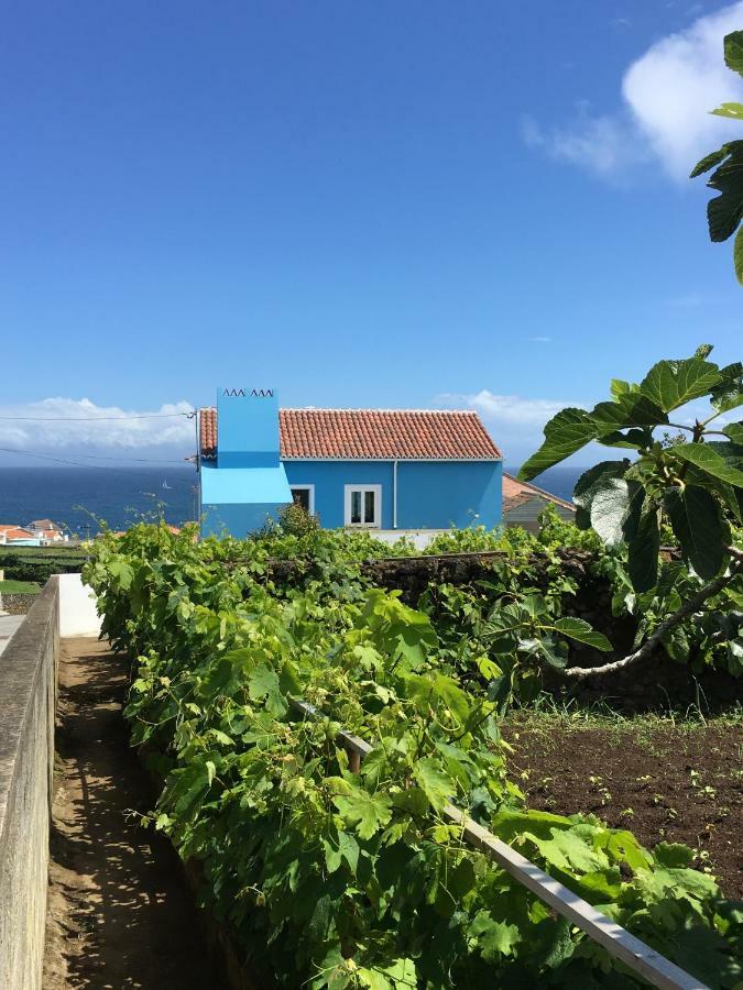 Casa Do Vizinho Villa Porto Judeu Dış mekan fotoğraf